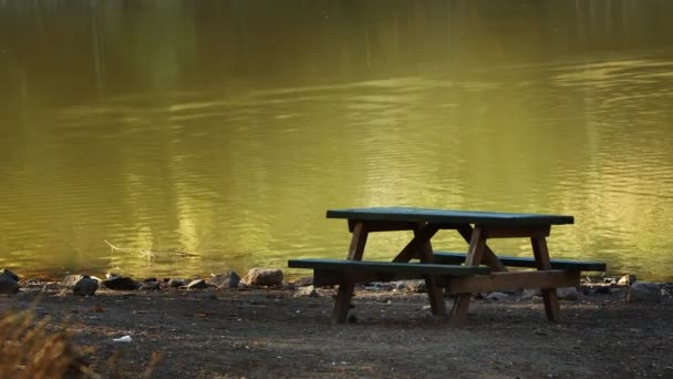 Drewniane Siedzenie Pobliżu Zielonego Jeziora — Wideo stockowe