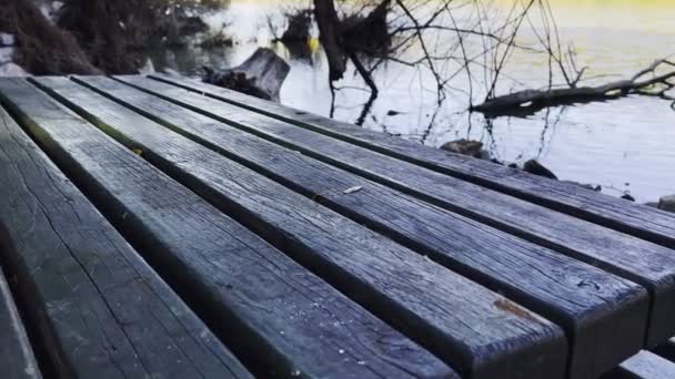 緑の湖の近くの木製の座席 — ストック動画