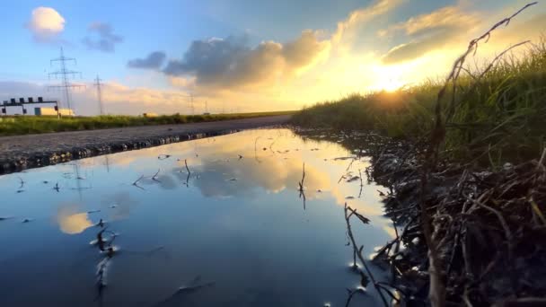 Puddle Νερό Κοντά Στο Δρόμο Στο Πράσινο Πεδίο Και Ηλιοβασίλεμα — Αρχείο Βίντεο