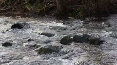  Waterfall on a River in Wild Nature 