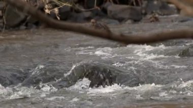  Waterfall on a River in Wild Nature 