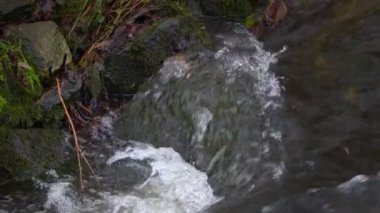  Waterfall on a River in Wild Nature 