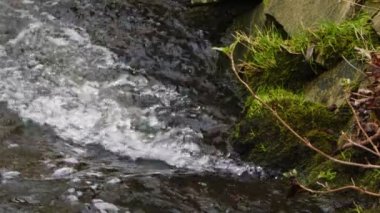  Waterfall on a River in Wild Nature 