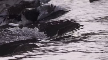  Waterfall on a River in Wild Nature 