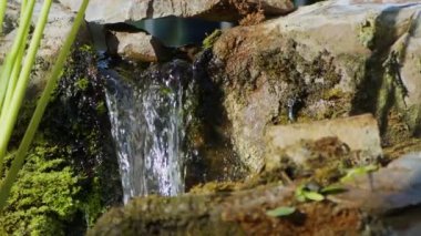  Waterfall on a River in Wild Nature 