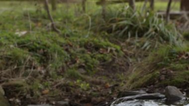  Waterfall on a River in Wild Nature 