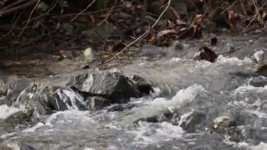  Waterfall on a River in Wild Nature 