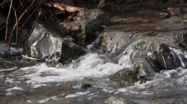  Waterfall on a River in Wild Nature 