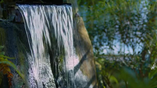 Водоспад Річці Дикій Природі — стокове відео