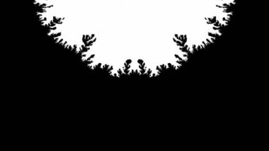  Abstract Ink Paint Spread Mirror Illusion 