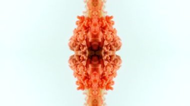 Abstract Colorful Paint Spread Mirror Reflection Fantasy