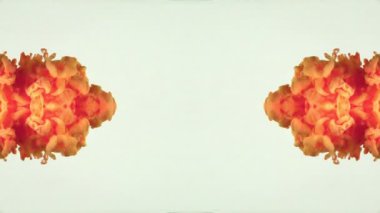 Abstract Colorful Paint Spread Mirror Reflection Fantasy