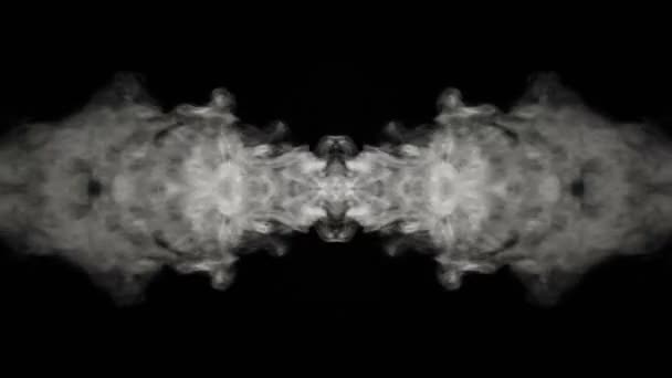 Abstract Smoke Spread Mirror Symmetric Effect — Wideo stockowe