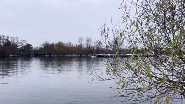 フランクフルトでボートが川を渡る ビデオ — ストック動画