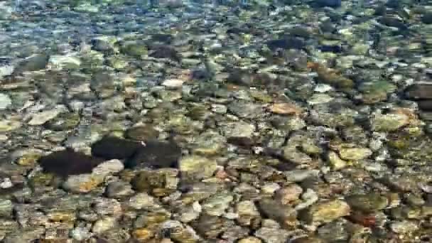 Rent Havsvatten Och Små Stenar Pebbles Undervattensvideo — Stockvideo