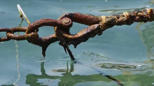 Rusty Mossy Iron Chain Detalj Holding Båt Video — Stockvideo