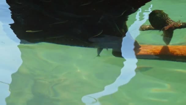 在闪闪发光的海水录像下的船引擎螺旋桨 — 图库视频影像