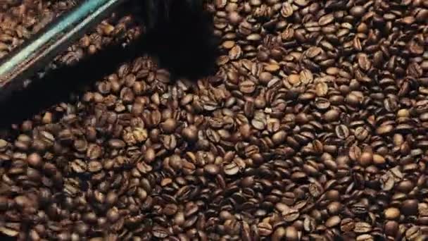 Aromatiska Kaffebönor Rostningsmaskin — Stockvideo