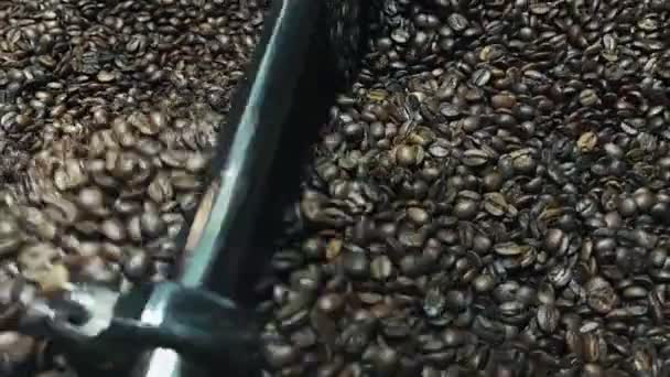 Grains Café Aromatiques Dans Machine Torréfaction — Video