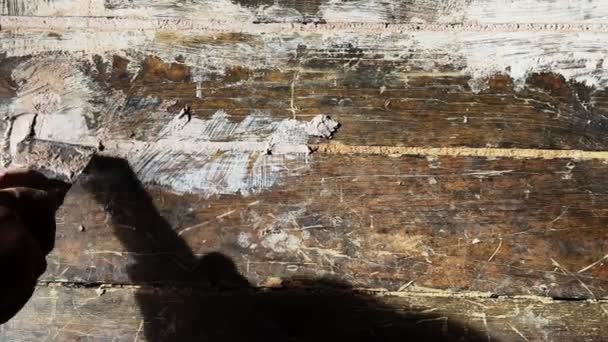 Kleber Mit Dem Spachtel Auf Die Holzbodenfugen Auf Dem Boden — Stockvideo