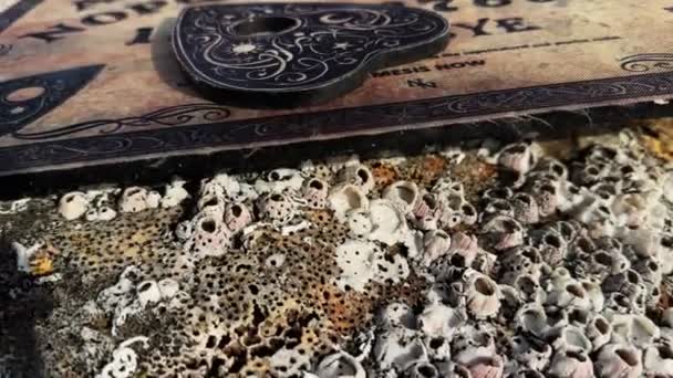 Spiritual Scary Witchcraft Ouija Board Στην Εξωτερική Έννοια — Αρχείο Βίντεο