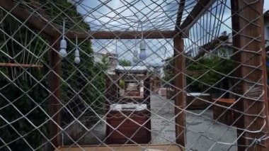 Ruhsal Korkunç Cadılık Ouija Tahtası Açık Hava Kavramında