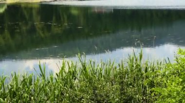 Türkiye 'deki Göl Evi ve Vahşi Yeşil Doğa