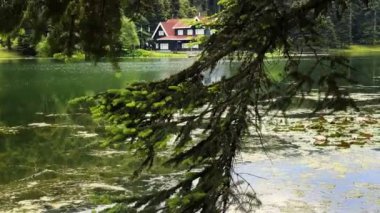 Türkiye 'deki Göl Evi ve Vahşi Yeşil Doğa