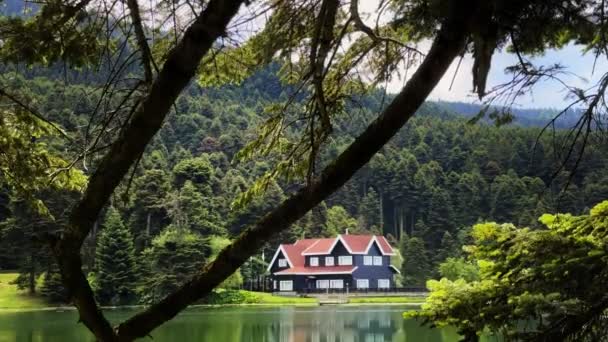 Maison Lac Nature Sauvage Verte Turquie — Video