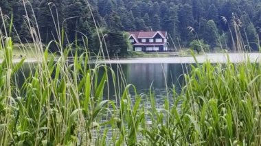 Türkiye 'deki Göl Evi ve Vahşi Yeşil Doğa