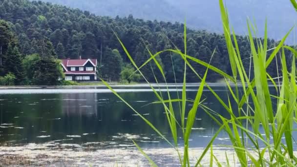 土耳其的湖畔小屋与野生绿地 — 图库视频影像