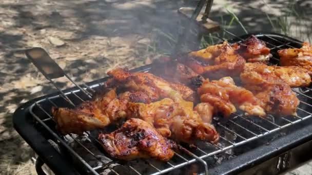 Kurczak Grillowym Ogniu Węglowym — Wideo stockowe