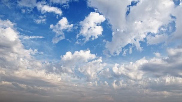 Φουσκωμένα Άσπρα Σύννεφα Και Μπλε Ουρανό Ώρα Lapse — Αρχείο Βίντεο