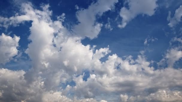 Puffy White Clouds Blue Sky Time Lapse — Stock Video