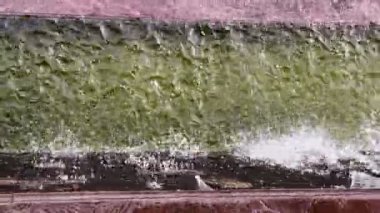 Stone Steps 'ten küçük şelale