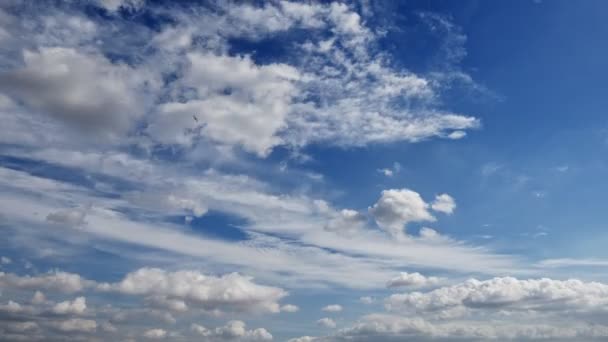 Miękkie Białe Puszyste Chmury Pływające Błękitnym Niebie — Wideo stockowe