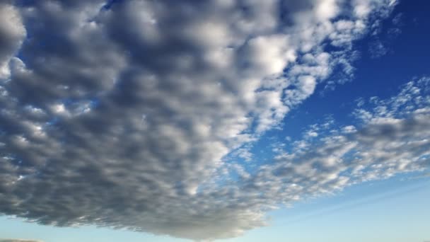Soft White Fluffy Clouds Floating Blue Sky — Stock Video