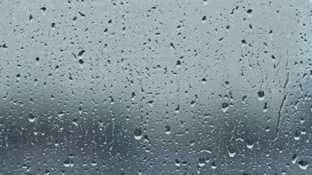 Regendruppels Stromend Raamglas — Stockvideo