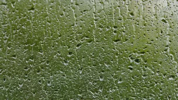 Regnet Droppar Som Flyter Fönsterglas — Stockvideo