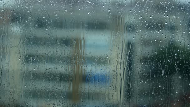 Rain Drops Flowing Window Glass — Stock Video