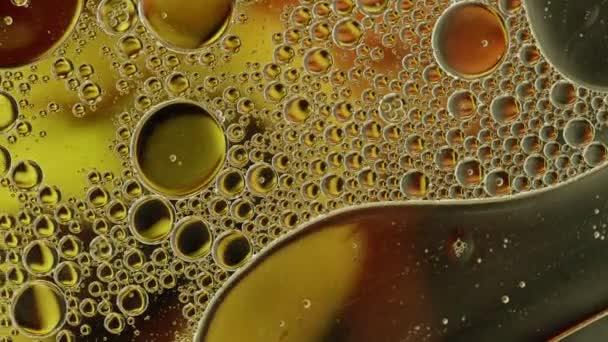 Streszczenie Kolorowy Olej Spożywczy Krople Bubbles Spheres Flowing Water Surface — Wideo stockowe