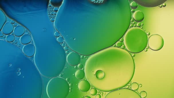抽象的な多彩な食糧オイルは泡を落とし 表面に流れる球 — ストック動画
