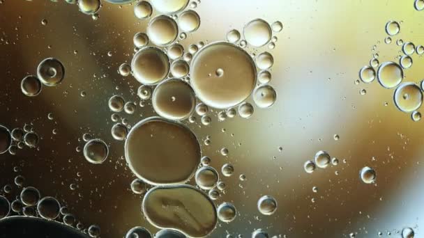 Abstract Kleurrijke Voedselolie Druppels Bubbels Bollen Stromen Het Water Een — Stockvideo