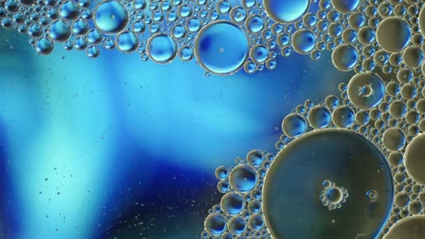 色彩斑斓的食品油滴 气泡和球体在水面上流动 — 图库视频影像