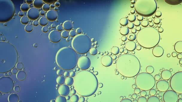 Abstract Kleurrijke Voedselolie Druppels Bubbels Bollen Stromen Het Water Een — Stockvideo