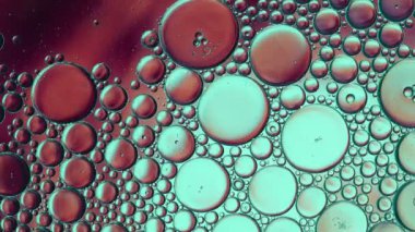 Soyut Renkli Gıda Yağı Kabarcıkları ve küreler Bir Yüzeye Akıyor