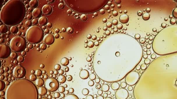 色彩斑斓的食品油滴 气泡和球体在水面上流动 — 图库视频影像