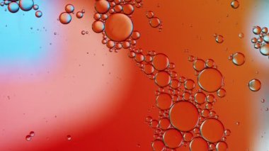 Soyut Renkli Gıda Yağı Kabarcıkları ve küreler Bir Yüzeye Akıyor