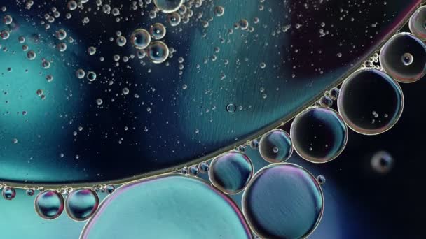 Abstracto Colorido Aceite Comida Gotas Burbujas Esferas Que Fluyen Agua — Vídeos de Stock