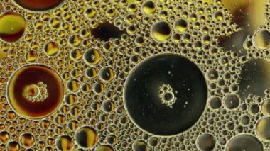 Soyut Renkli Gıda Yağı Kabarcıkları ve küreler Bir Yüzeye Akıyor